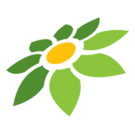 CHIKII APK MOD